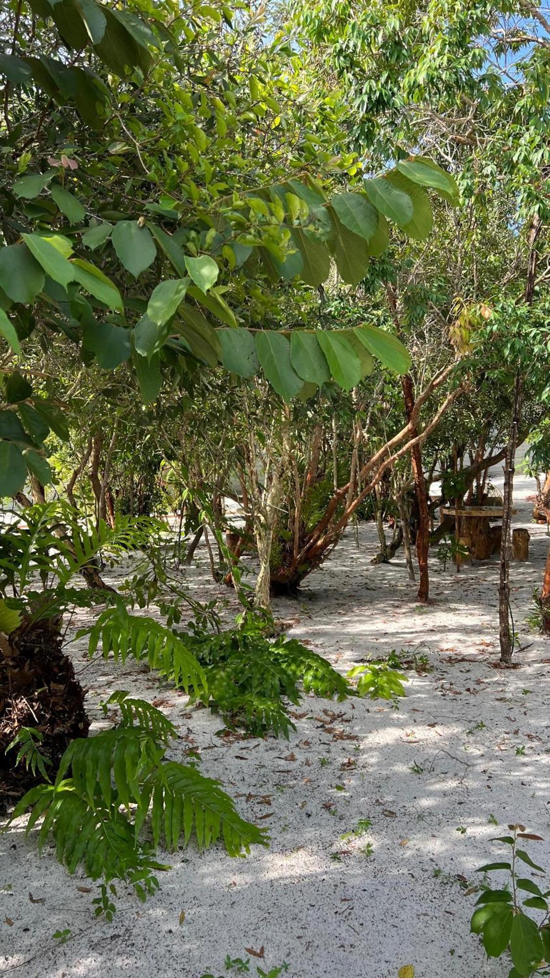 Golden Chenang Village Pantai Cenang  Exteriör bild