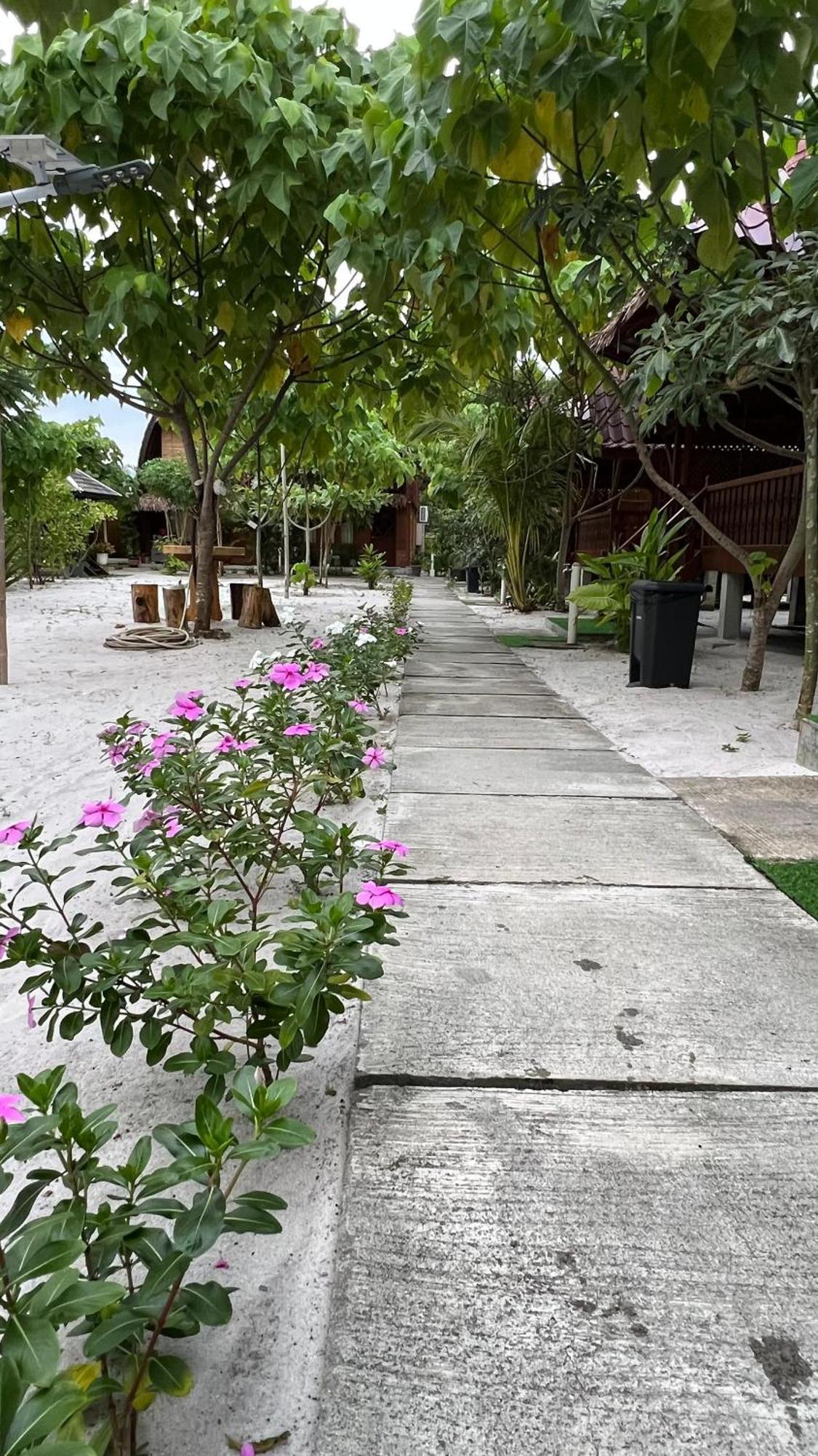 Golden Chenang Village Pantai Cenang  Exteriör bild